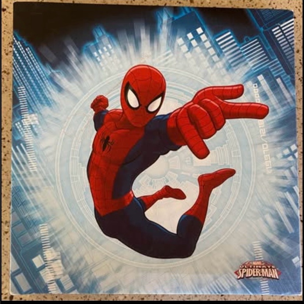 Marvel Spider-Man Red and Blue Action Tapestry